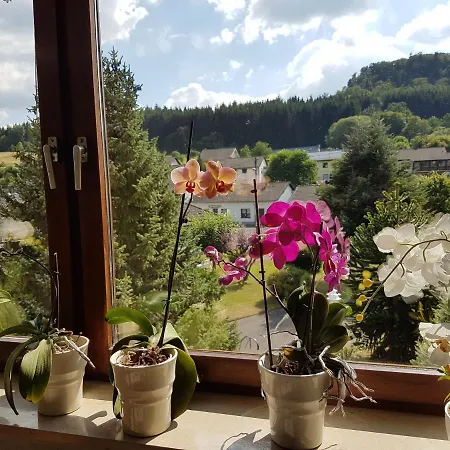 Ferienwohnung Junk * Daun